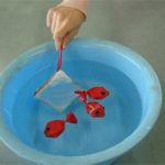 子供の手作りおもちゃ：金魚すくいが家でできる！？お風呂で楽しめるおもちゃの作り方