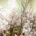 春の簡単工作！桜を手作りしておうちで春の気分を楽しもうpart3